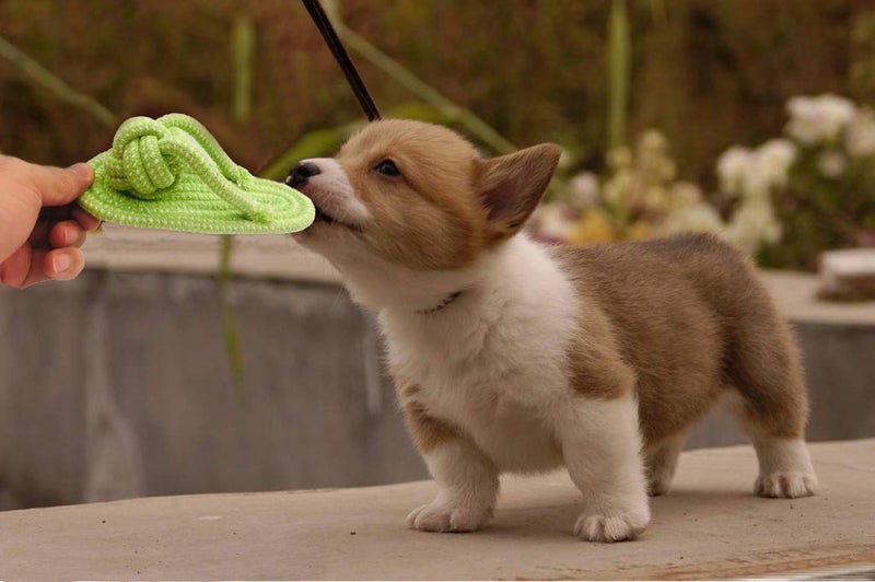 Sunglow Dog Toy Interactive Chewing Rope Ball Toys Natural Cotton Washable Durable Tug of War for Small Medium Dogs Puppies Training Playing Teeth Cleaning (Shoes) - Image 5
